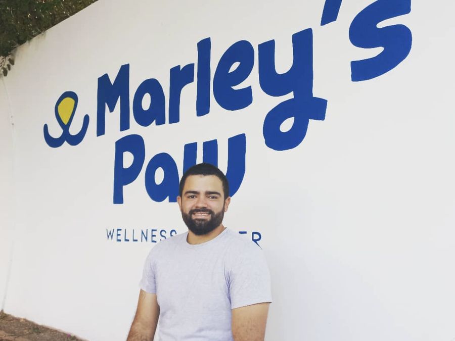 Mural de Marley's Paw Wellness Center en la sede
